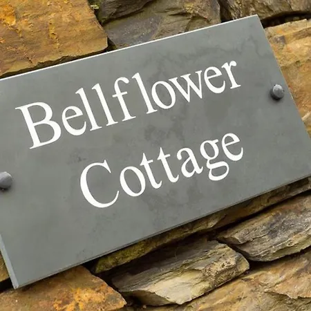 Bellflower * ウィンダミア